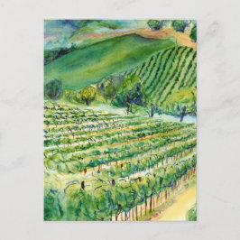 Cartão postal Vineyard da Califórnia