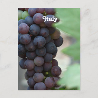 Cartão Postal Vineyard na Itália