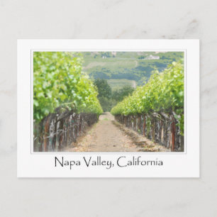 Cartão Postal Vineyard primavera no Vale de Napa, Califórnia