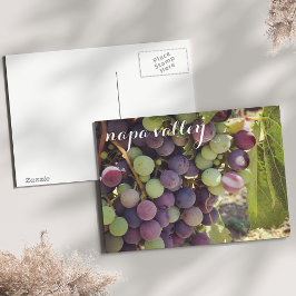 Cartão Postal Vineyard Red & Green Graphics