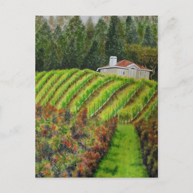 Cartão Postal Vineyards em Healdsburg, CA Watercolor Posta Card (Frente)