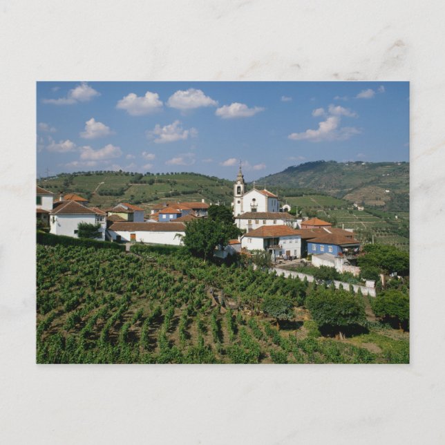 Cartão Postal Vineyards, Vila de San Miguel, Douro (Frente)