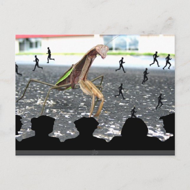 Cartão Postal Vingança da Louva Mantis (Frente)