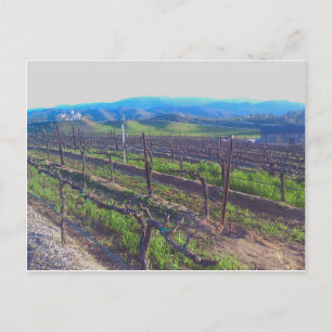 Cartão Postal Vinha