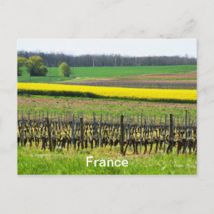 Cartão Postal Vinhas e campos em França