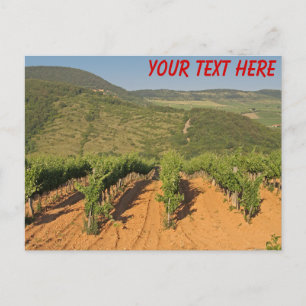 Cartão Postal Vinhas Tokaj, Hungria Postcard personalizável