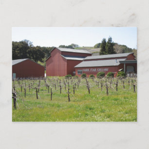 Cartão Postal Vinho de estrelas escuras em Paso Robles, CA