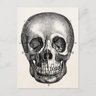 Cartão Postal Vintage 1800s Skull Retro Skeleton