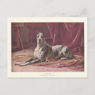 Cartão Postal Vintage 1907 Ilustração de Cão com Gato