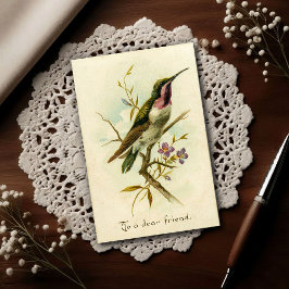 Cartão Postal Vintage 1908 Mexican Star Hummingbird Friendship 