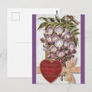Cartão Postal Vintage 1912 Purple Wistaria