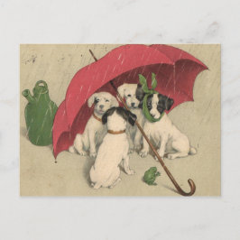 Cartão Postal Vintage 4 Cães Com Cartonagem De Guarda-Chuva