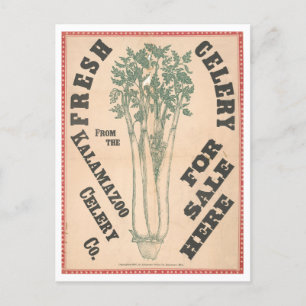 Cartão Postal Vintage Advertisement para a empresa Kalamazoo Cel