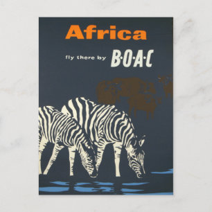 Cartão Postal Vintage Africa Zebra Viagem