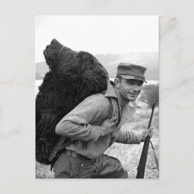 Cartão Postal Vintage Alaska (Frente)