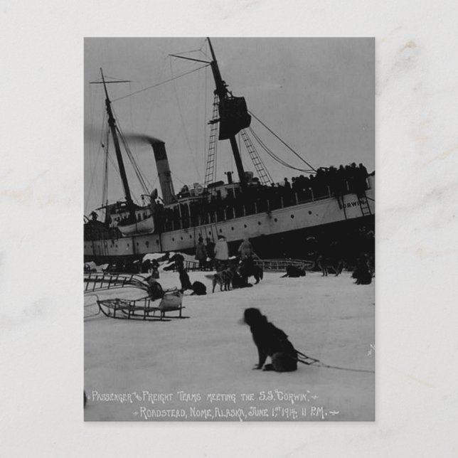 Cartão Postal Vintage Alaska (Frente)