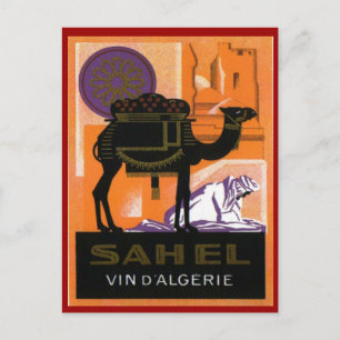 Cartão Postal Vintage Algerian Wine, Vin Sahel, Algerie