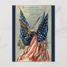 Vintage American Flag Eagle e Flowotic