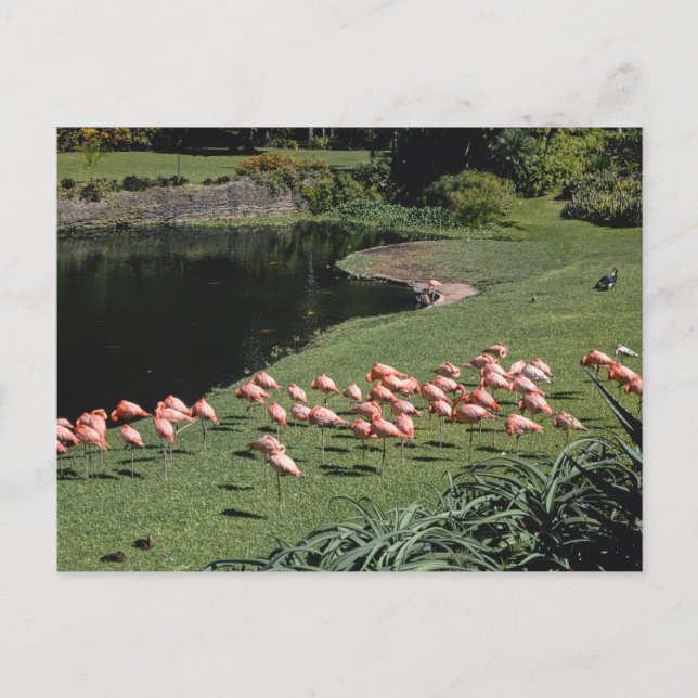 Cartão postal Vintage American Scenery (Frente)