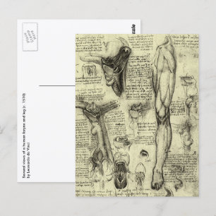 Cartão Postal Vintage Anatomia Humana Laringe Perna Leonardo da 