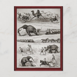 Cartão Postal Vintage - Animais de circo e peidos de penny