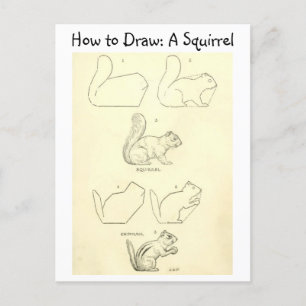 Cartão Postal Vintage Aprenda a Desenhar de esquilo e chipset