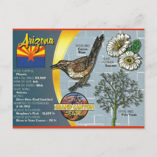Cartão Postal Vintage Arizona O Estado do Grand Canyon