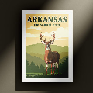 Cartão Postal Vintage Arkansas