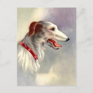 Cartão Postal Vintage Art Design Borzoi Dog