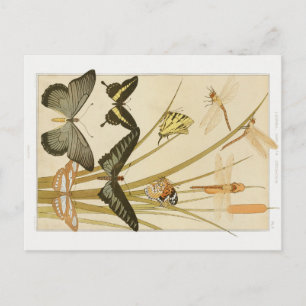 Cartão Postal Vintage Art Nouveau Butterflies & Cattails