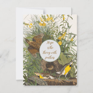 Cartão Postal Vintage Audubon Meadowlark Impressão