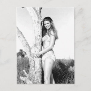 Cartão Postal Vintage B&W Photo Florida Bikini Girl
