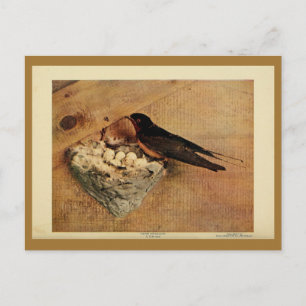 Cartão Postal Vintage barn swallow color littho
