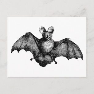 Cartão Postal Vintage Bat