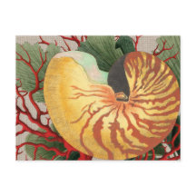 Cartão postal Vintage Beach Seashell & Red Coral