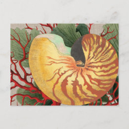 Cartão postal Vintage Beach Seashell & Red Coral
