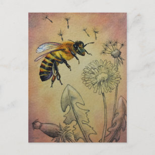 Cartão Postal Vintage Bee N.º 4 Dandelion Watercolor Art