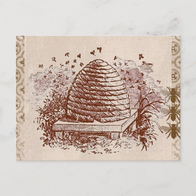 Cartão Postal Vintage Beehive Behekeet (Frente)