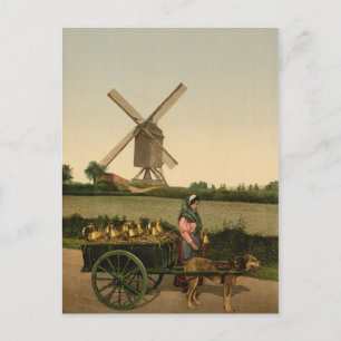 Cartão Postal Vintage Belkmaid (Laitière Belge)