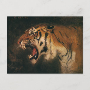 Cartão Postal Vintage Bengal Tiger Big Cat Roaring, Animais Selv