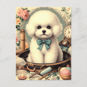 Cartão Postal Vintage Bichon Frisé Painting