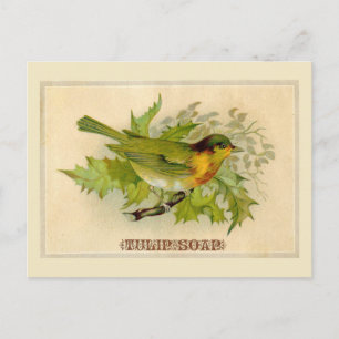 Cartão Postal Vintage Bird