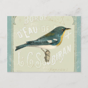 Cartão Postal Vintage Bird Enfrentando a Direita