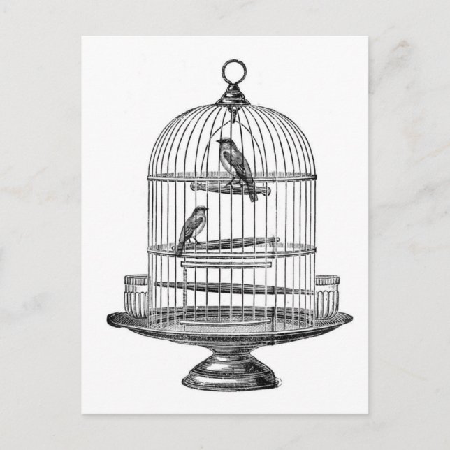 Cartão Postal Vintage Birdcage com Birds...cartão postal (Frente)
