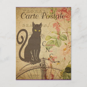 Cartão Postal Vintage Black Cat,