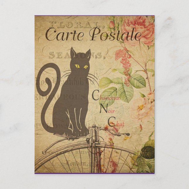 Cartão Postal Vintage Black Cat, (Frente)