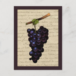Cartão Postal Vintage Black Graphics