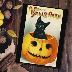 Cartão Postal Vintage Black Halloween Cat Em Um Pumpkin