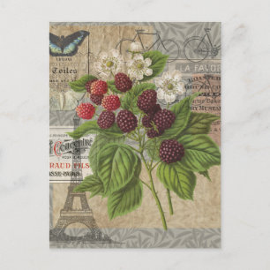 Cartão Postal Vintage Blackberry & French Ephemera Art Collage