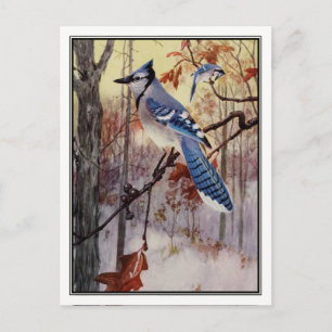 Cartão Postal Vintage Blue Jay por Robert Bruce Horsfall